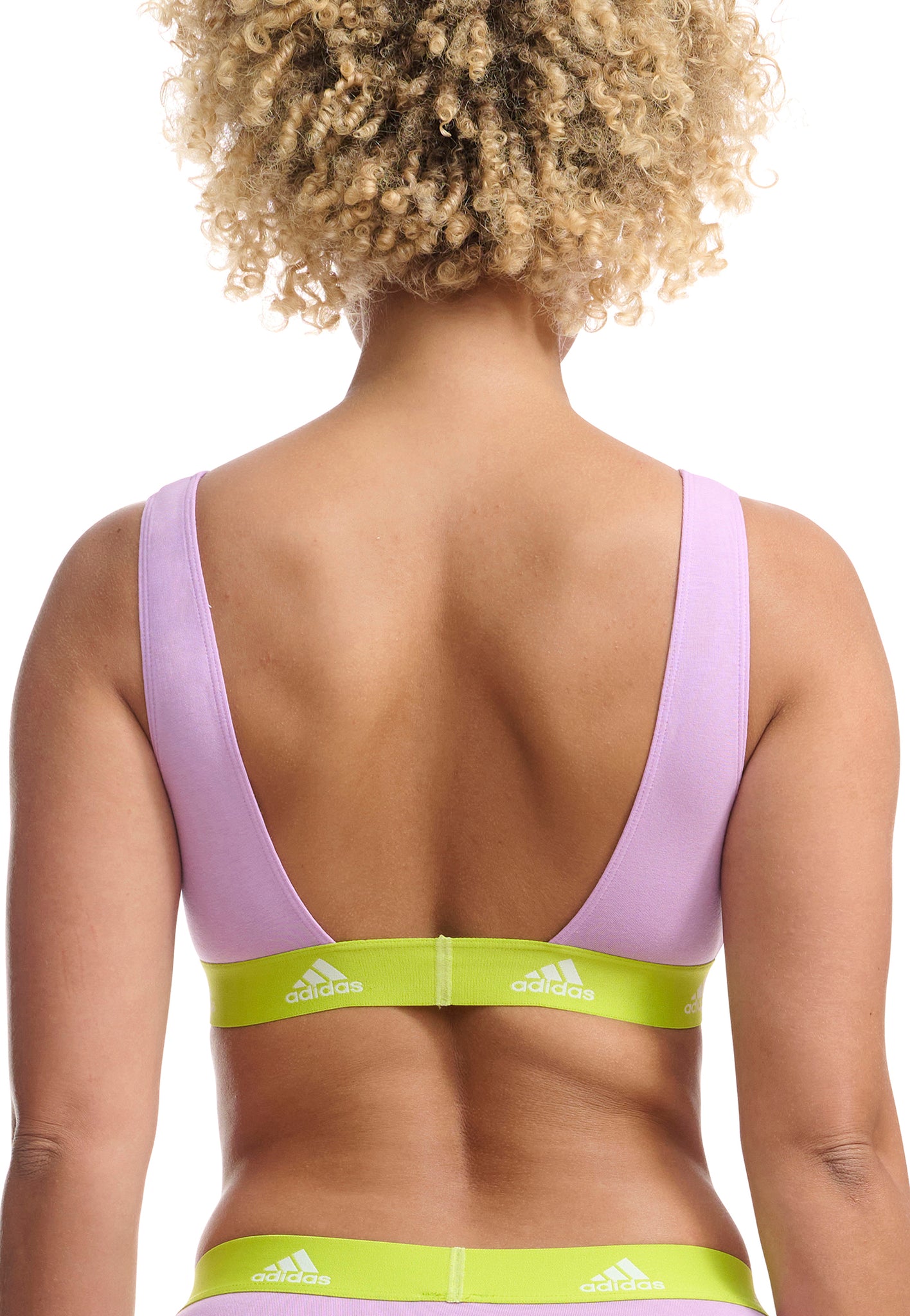 Bliss Lilac