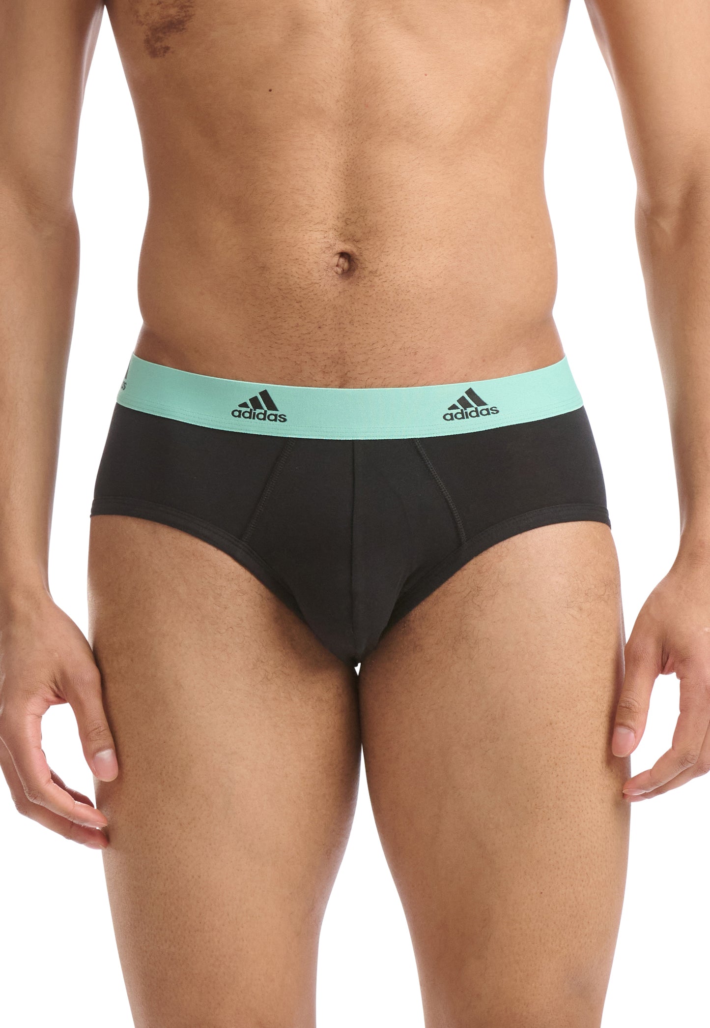 Black/Cabbage/Poppy Red/Bluing Waistband
