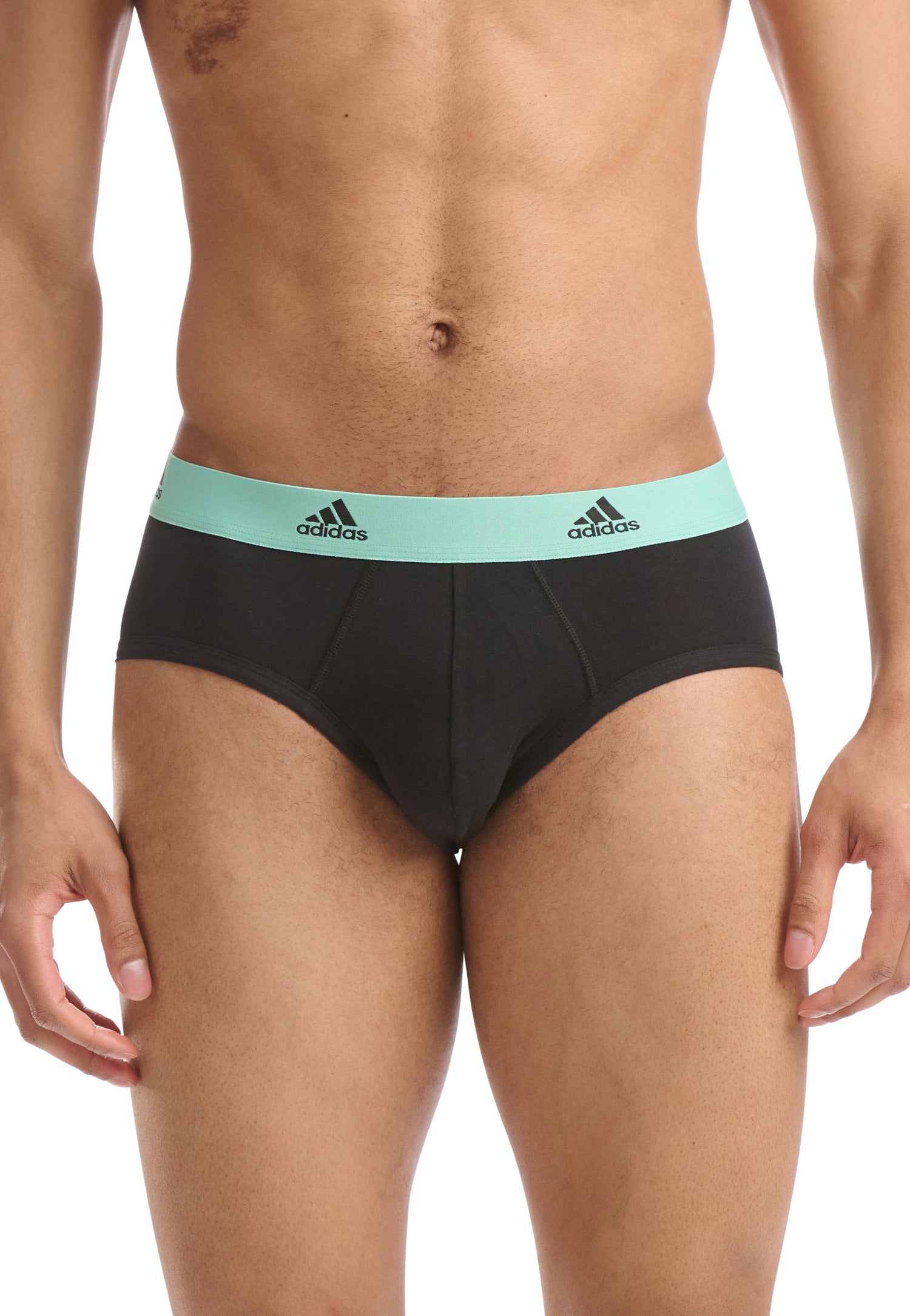 Black/Cabbage/Poppy Red/Bluing Waistband