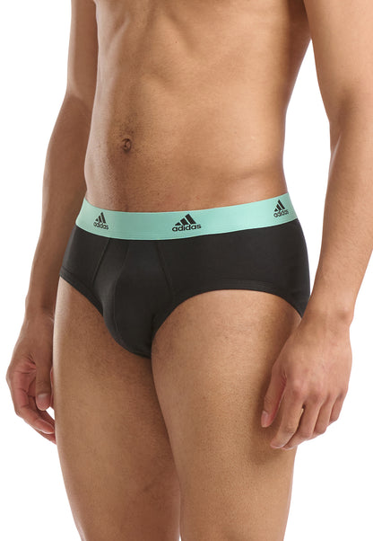 Black/Cabbage/Poppy Red/Bluing Waistband