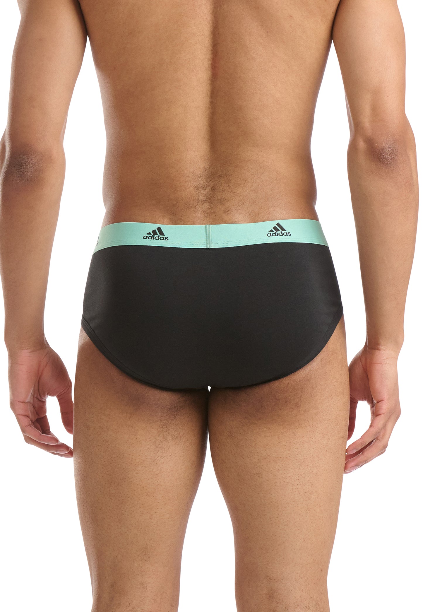 Black/Cabbage/Poppy Red/Bluing Waistband