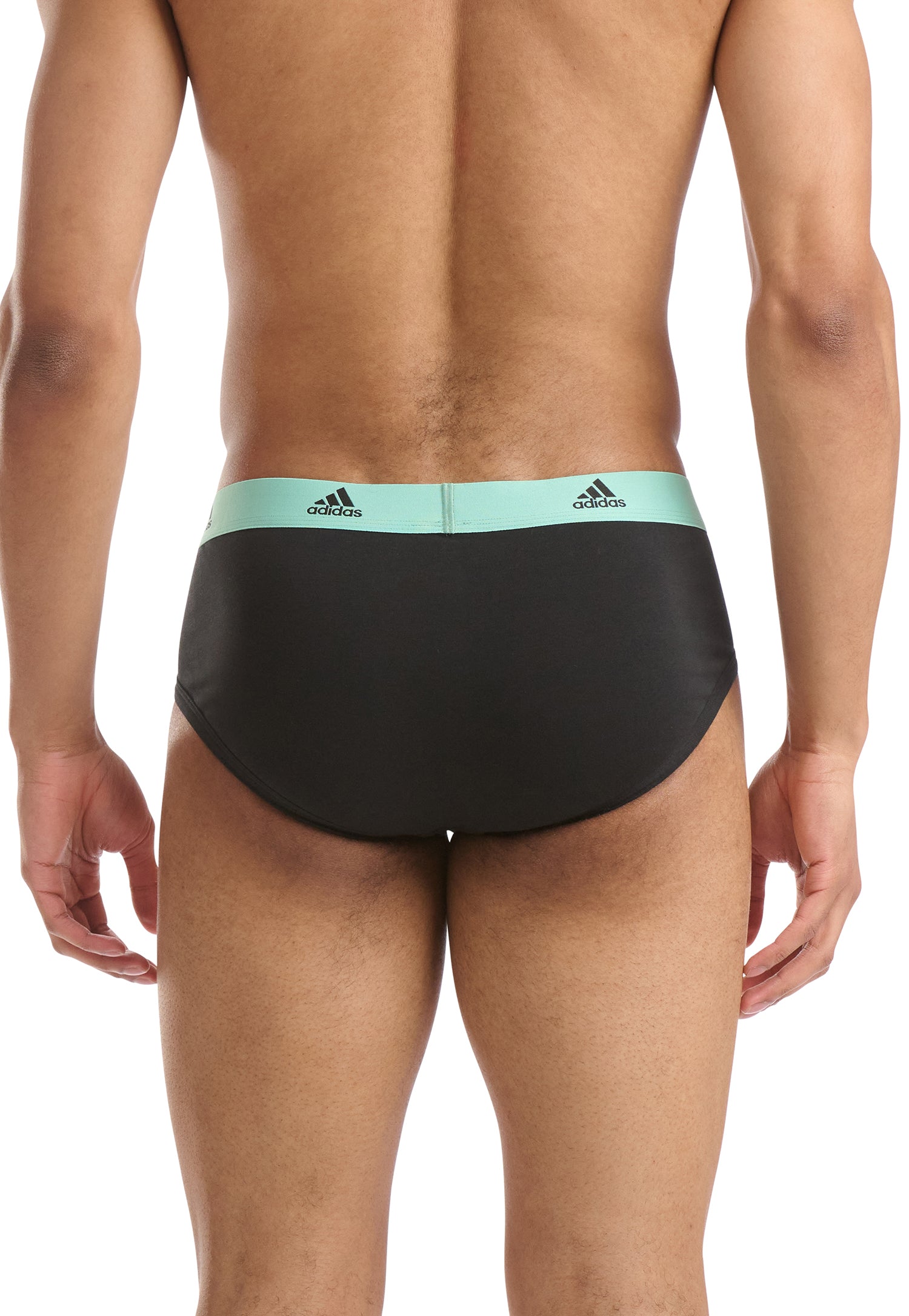 Black/Cabbage/Poppy Red/Bluing Waistband
