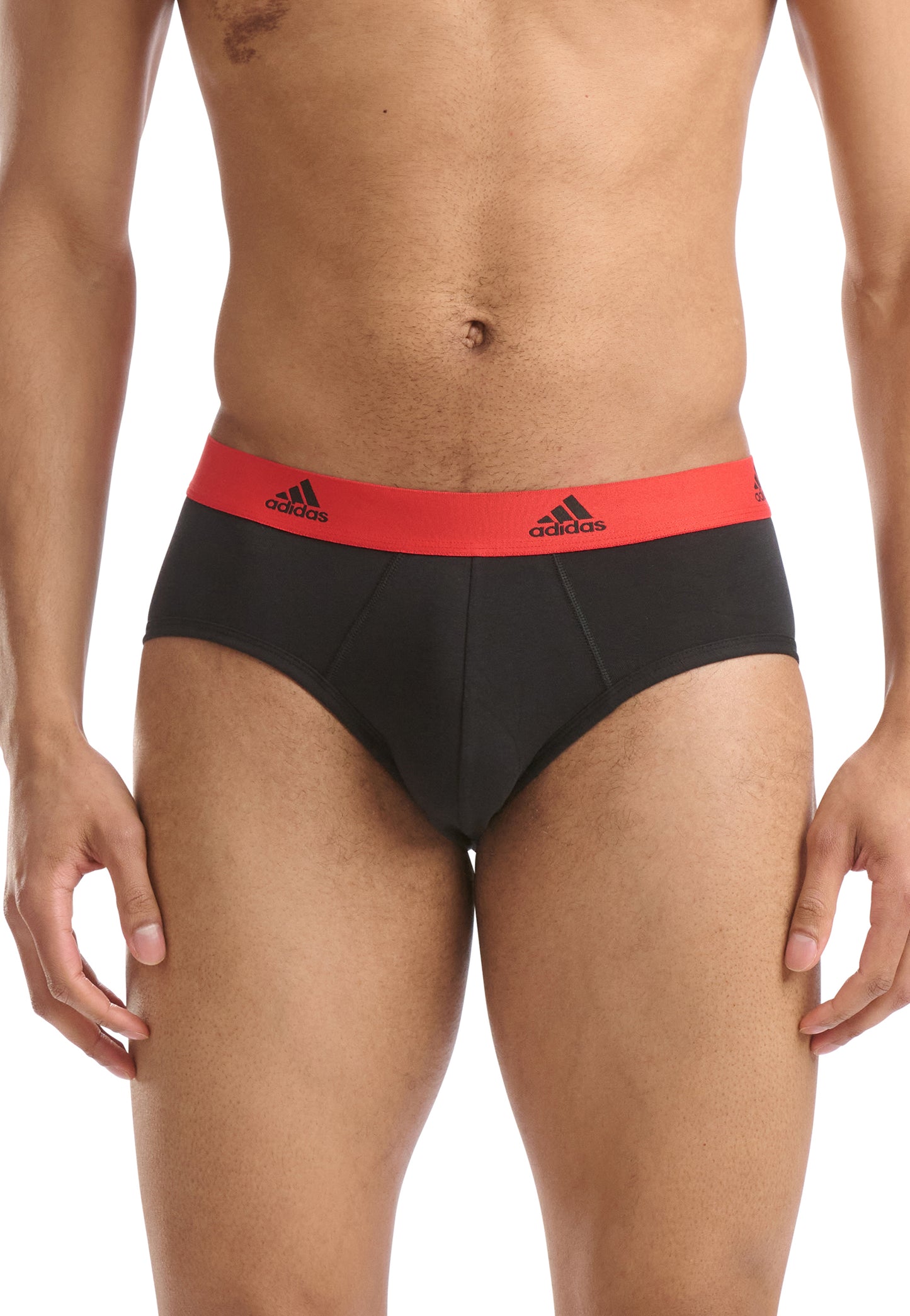Black/Cabbage/Poppy Red/Bluing Waistband