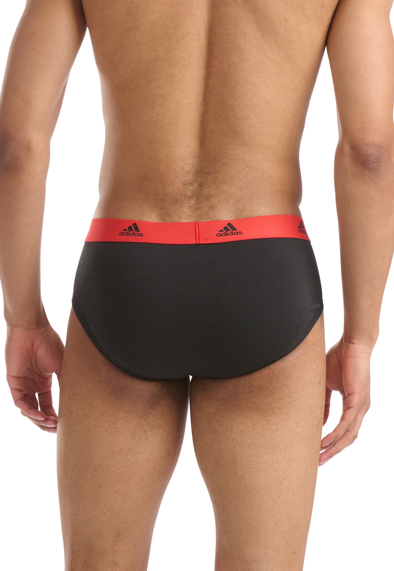 Black/Cabbage/Poppy Red/Bluing Waistband