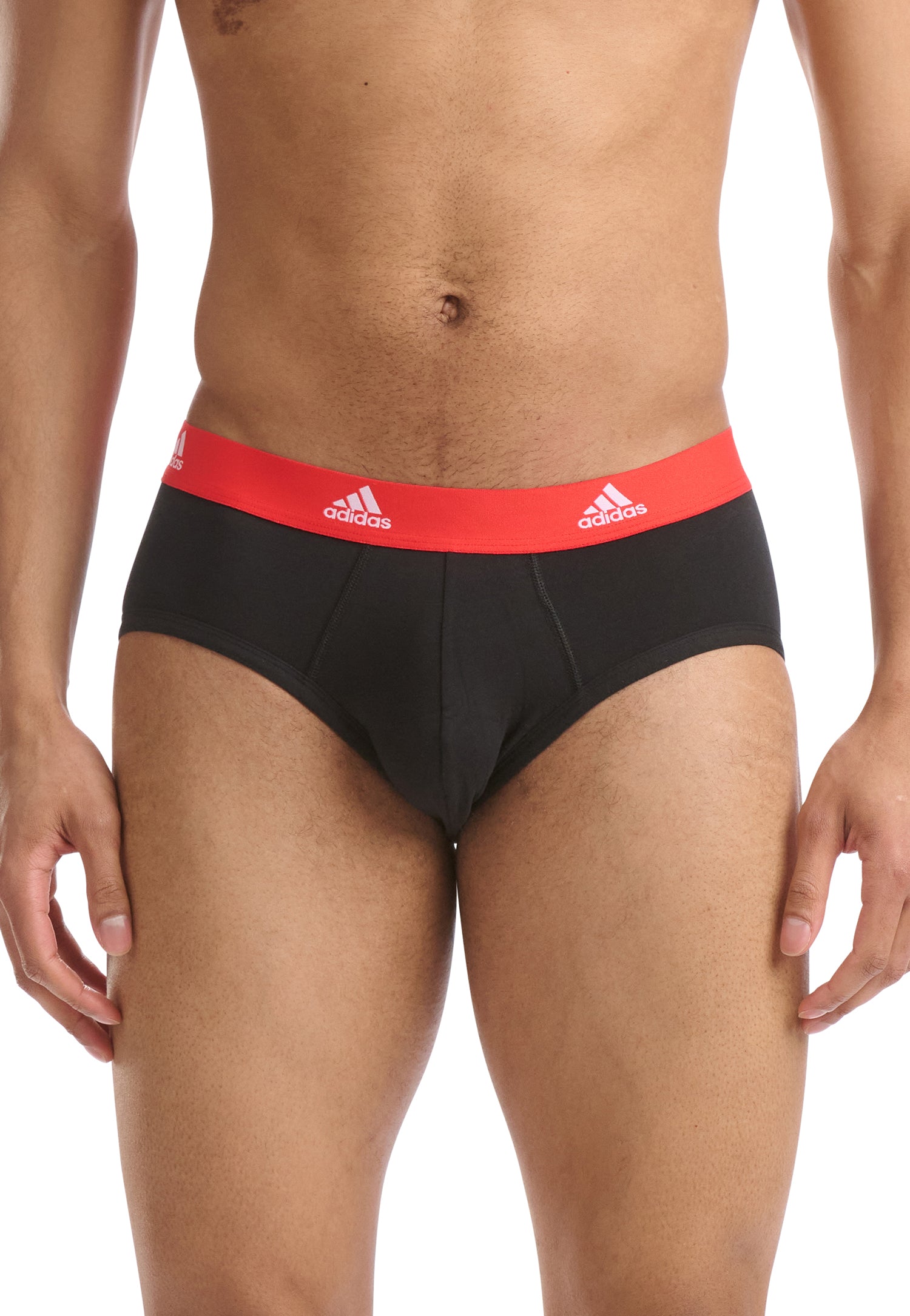 Black/Blue/Poppy Red/Yellow Waistband