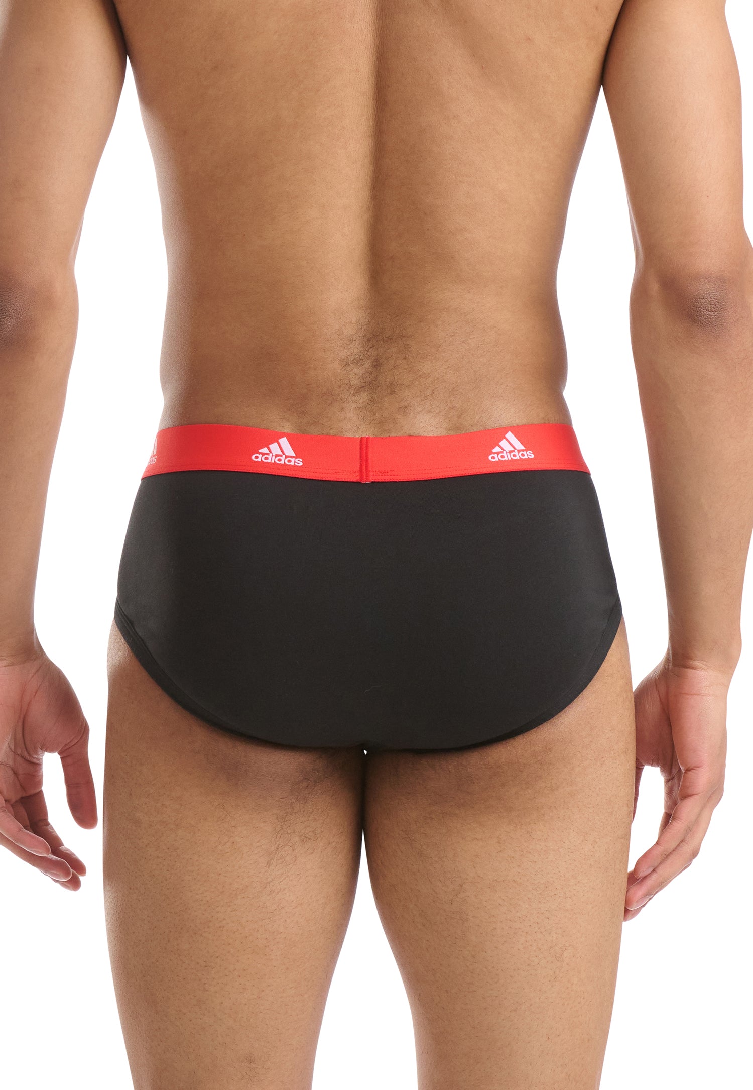 Black/Blue/Poppy Red/Yellow Waistband