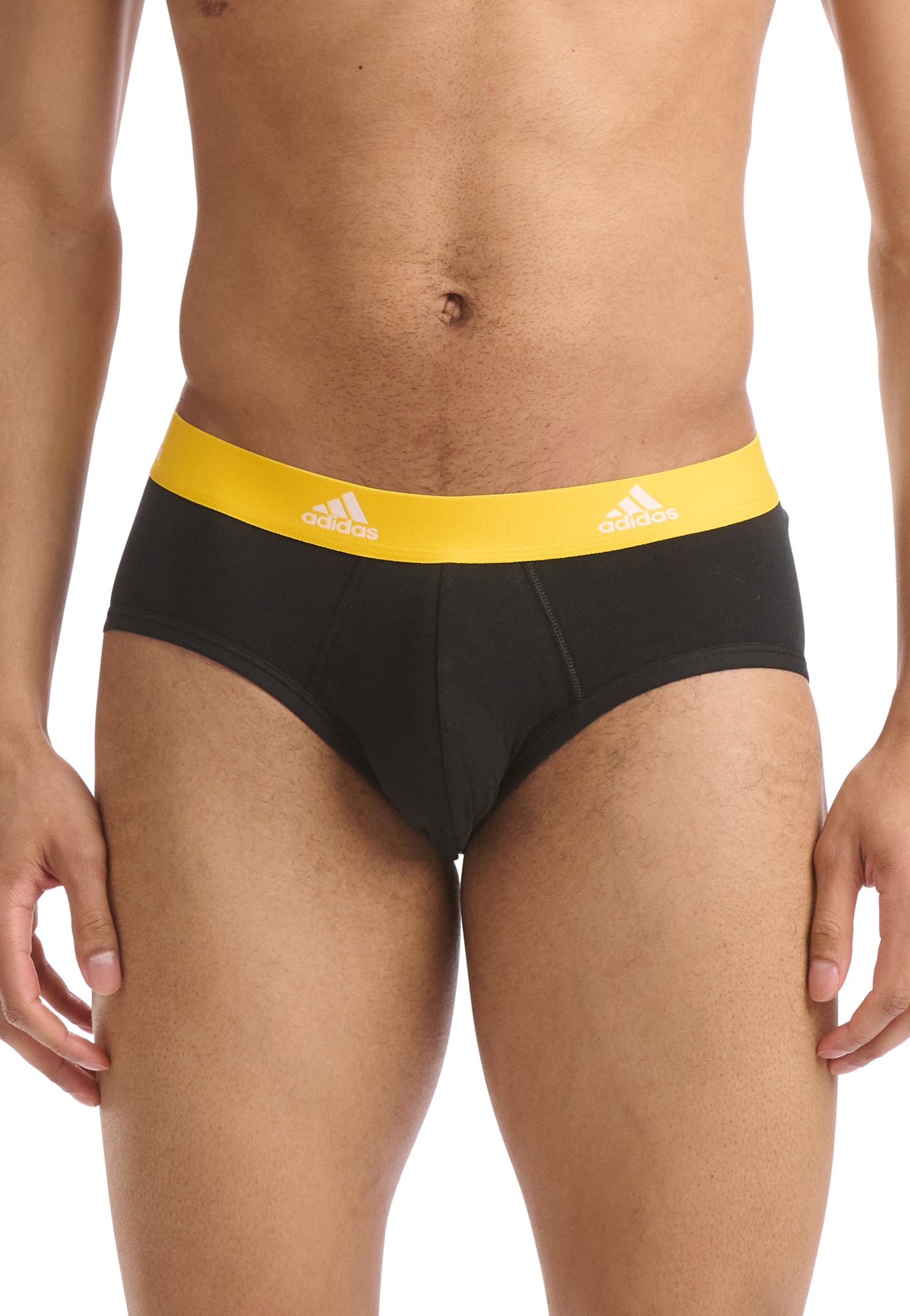 Black/Blue/Poppy Red/Yellow Waistband