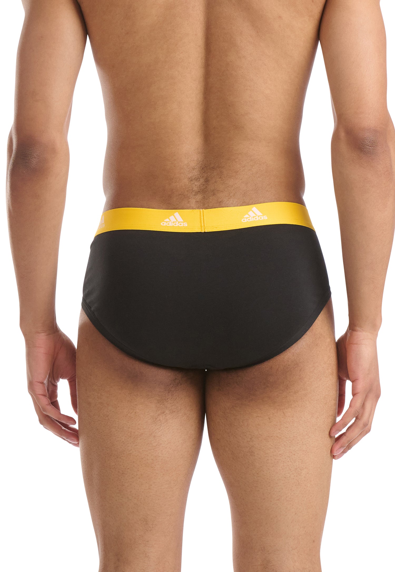 Black/Blue/Poppy Red/Yellow Waistband