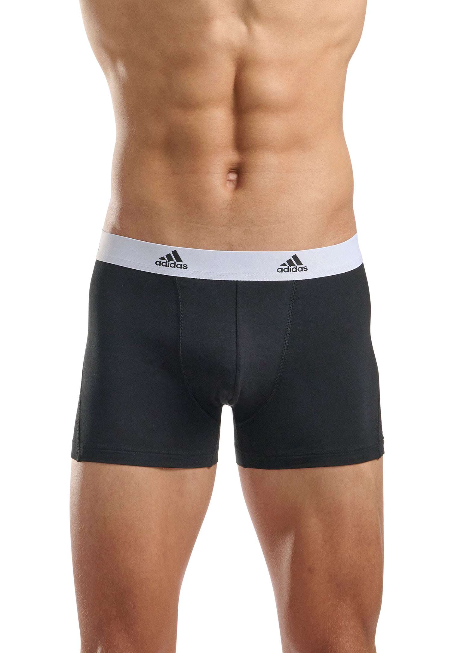 Black White Waistband/Black/Black BOS Print