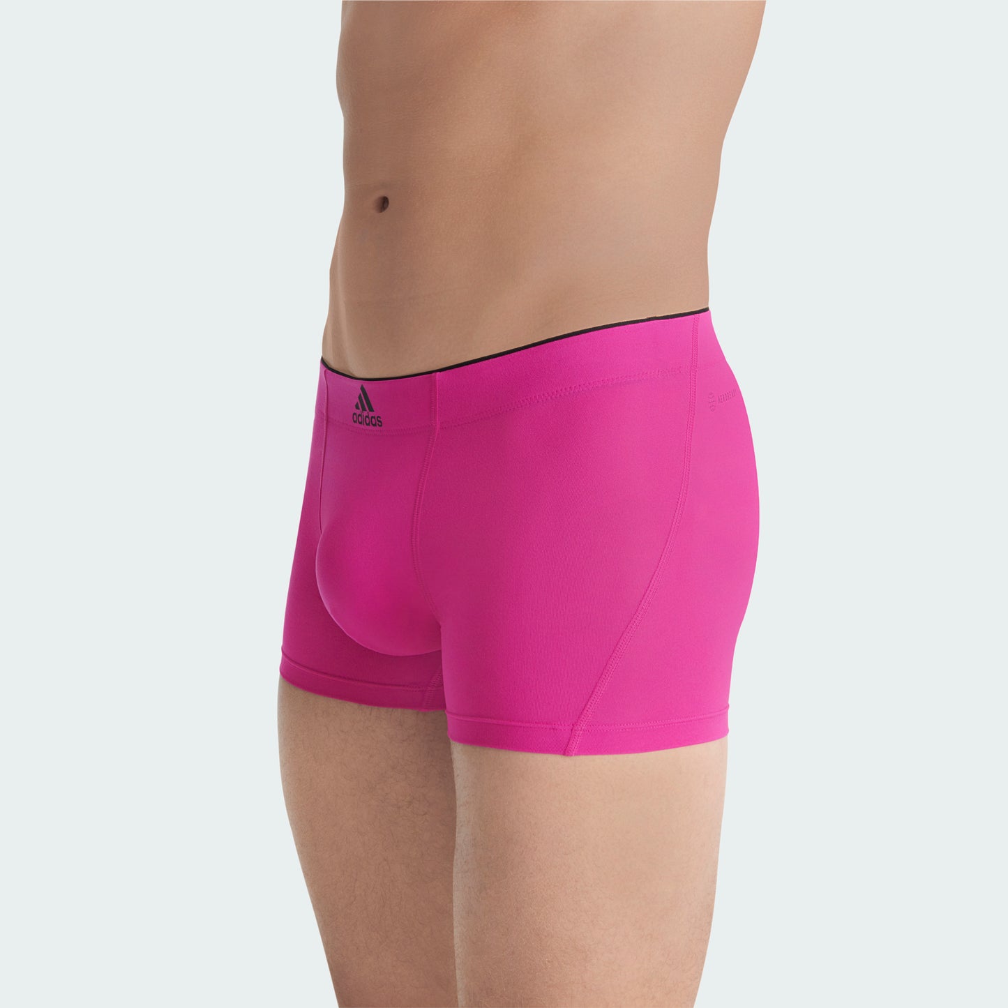 Rose Violet/Medieval Blue