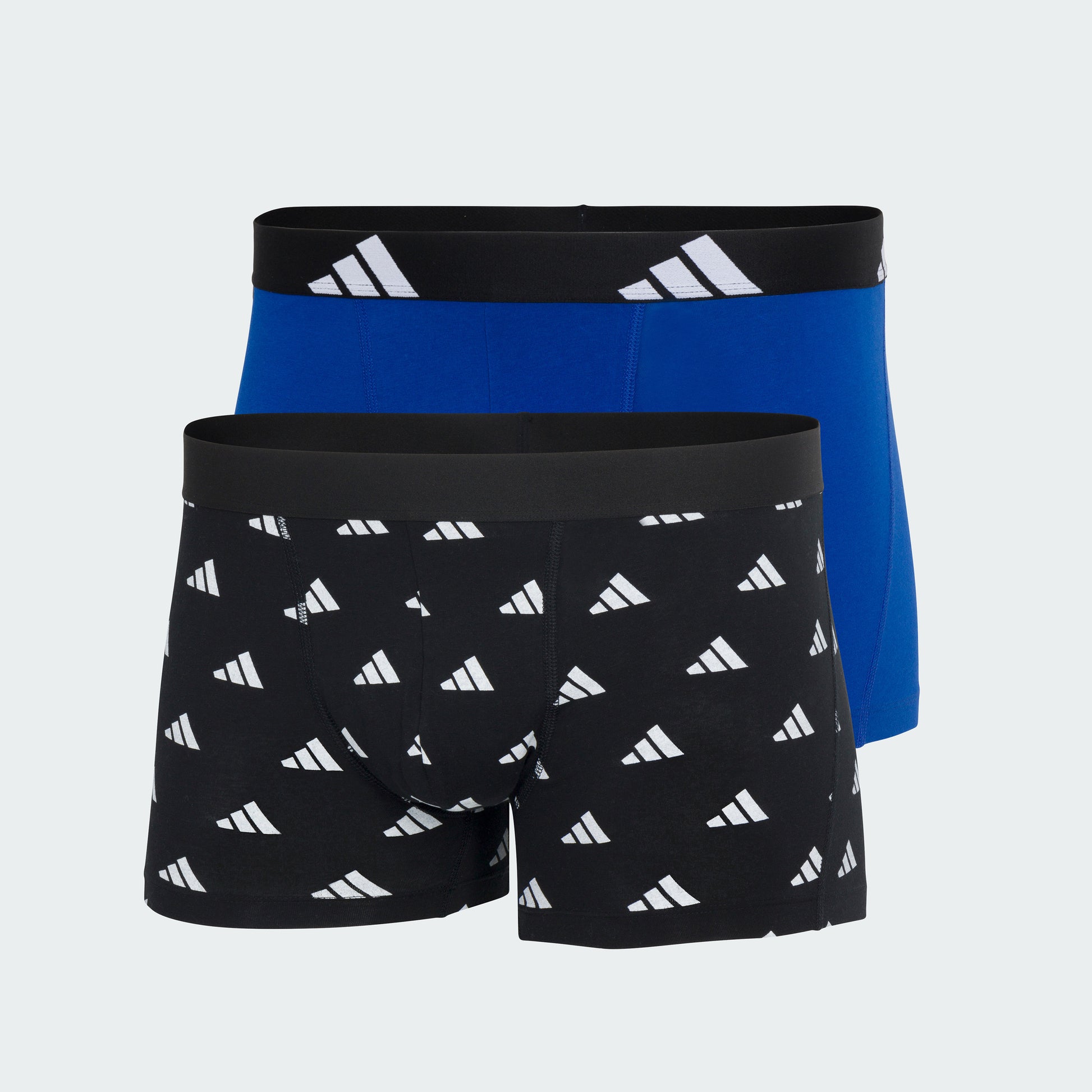 Surf the Web/Black Bos Print