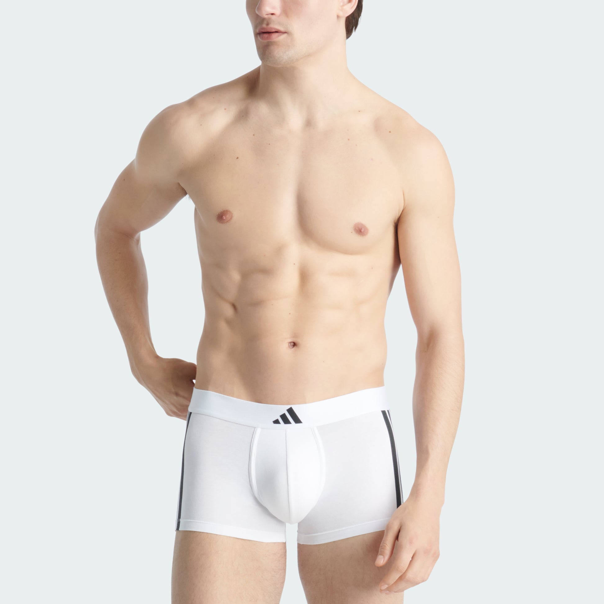 White/White