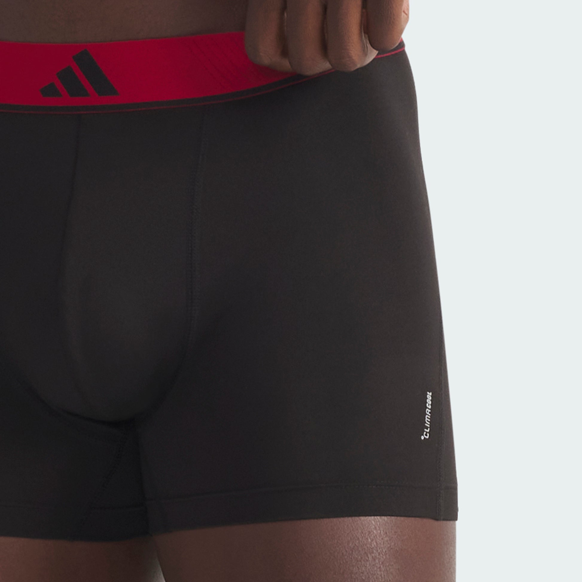 Wonder Sage/Carbon/Active Maroon