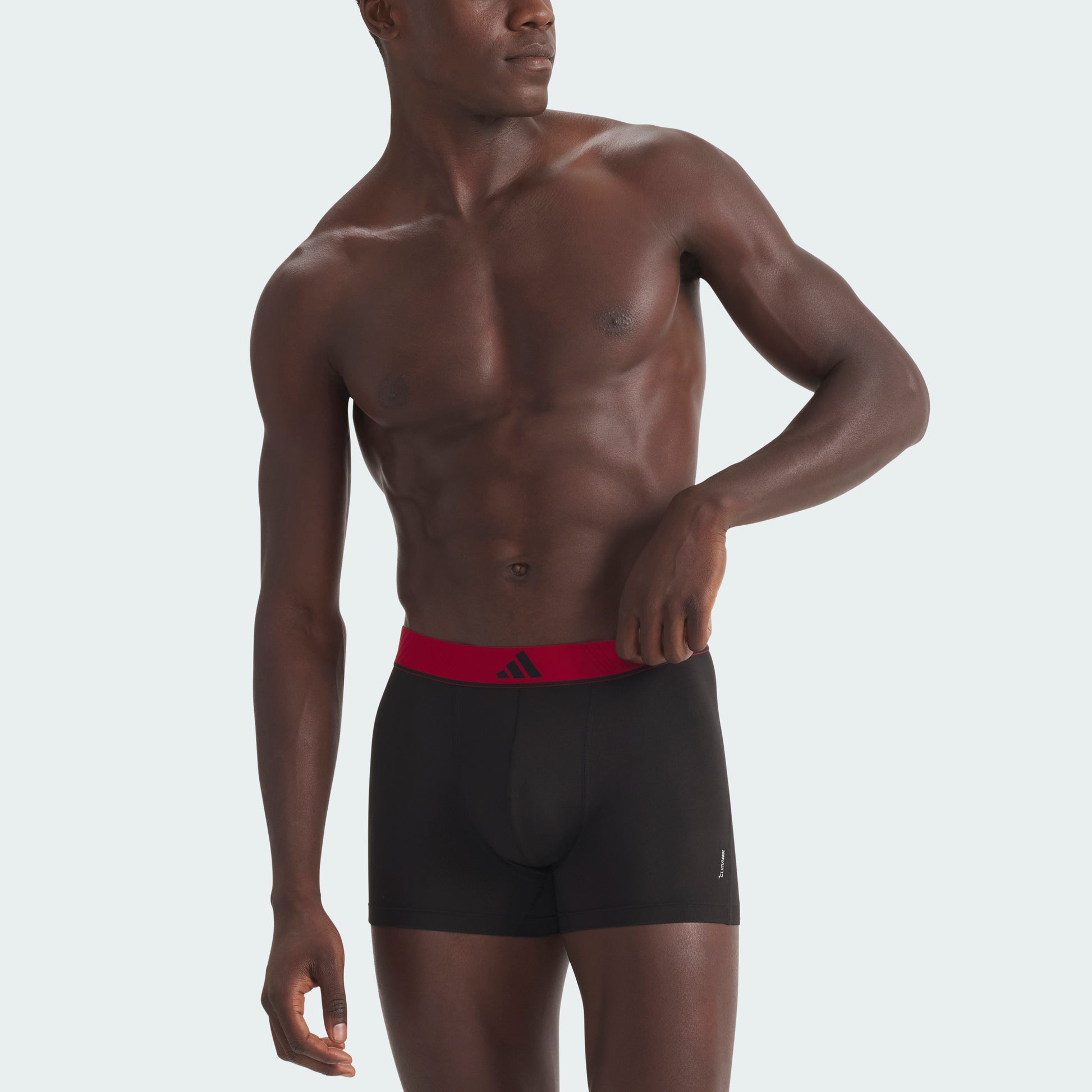 Wonder Sage/Carbon/Active Maroon