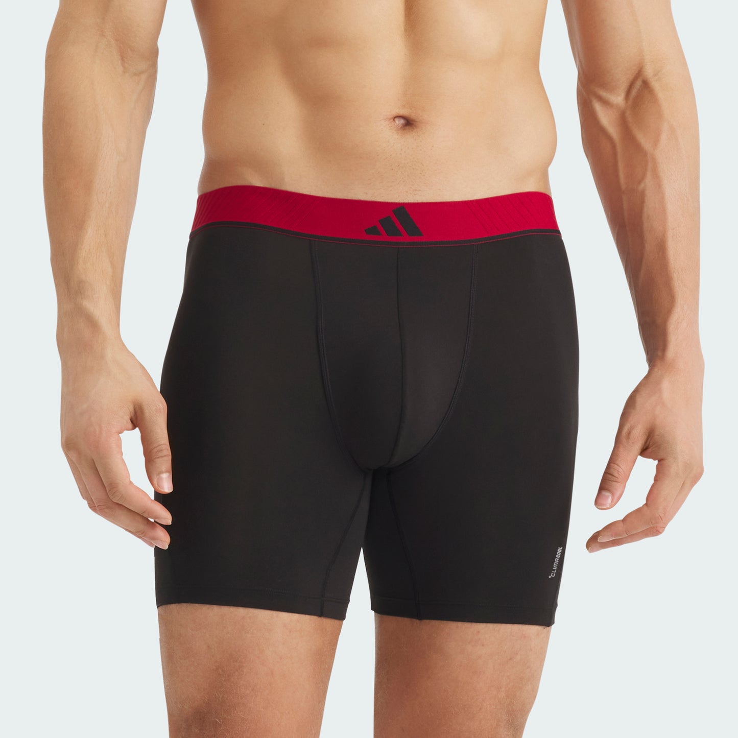 Wonder Sage/Carbon/Active Maroon