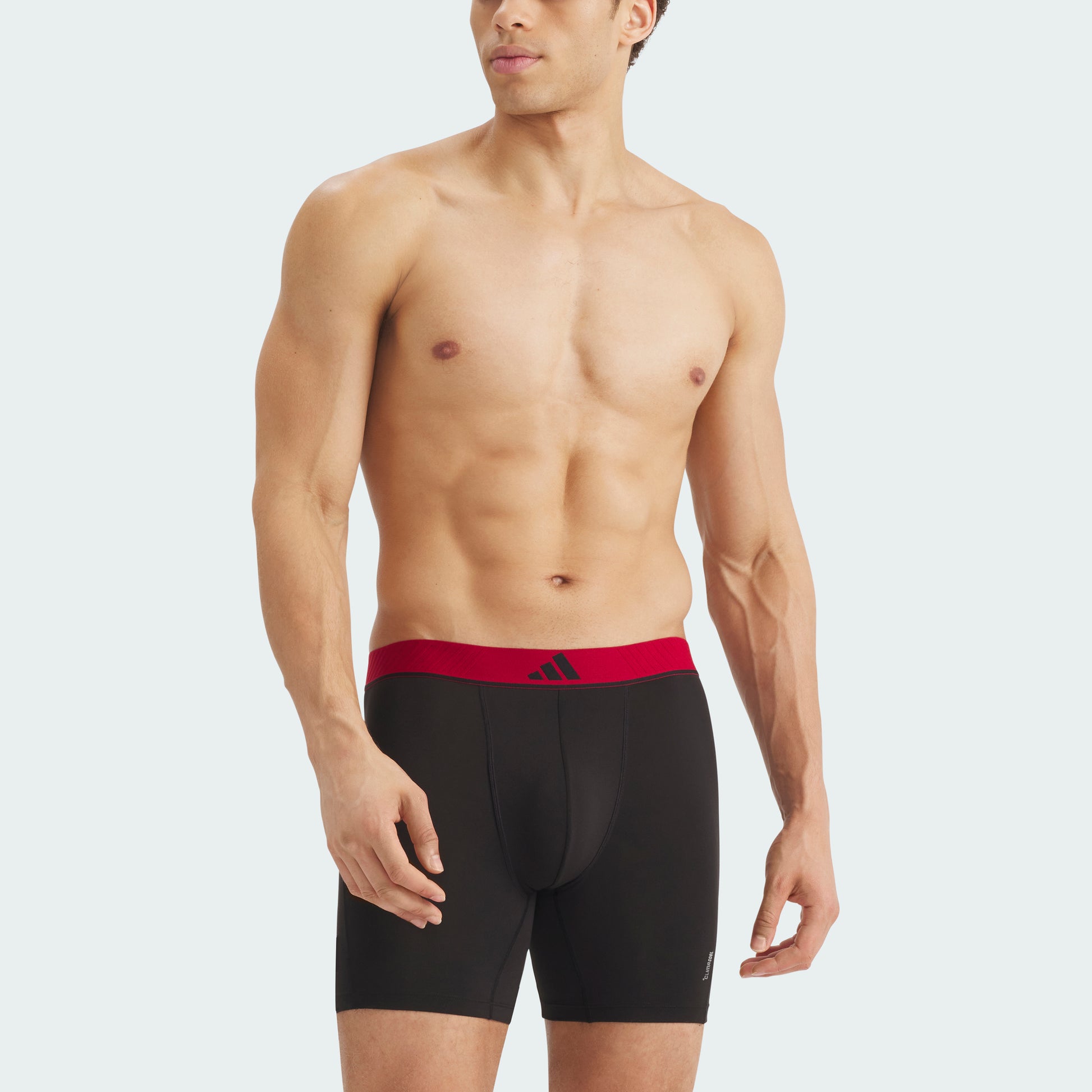 Wonder Sage/Carbon/Active Maroon