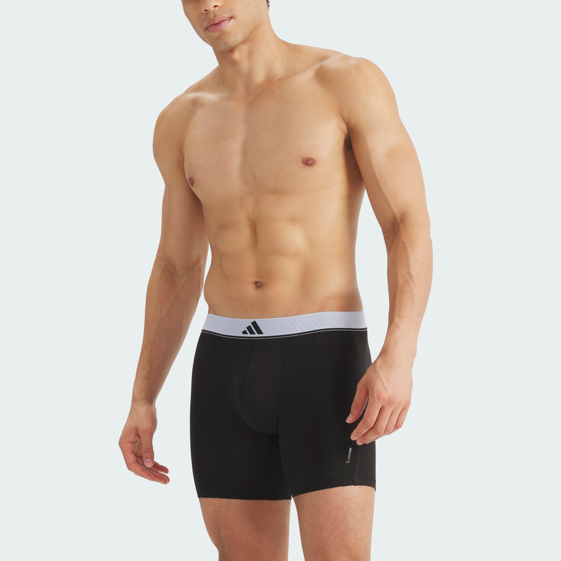 Crystal Sky/Wonder Cargo/Dusky Petrol