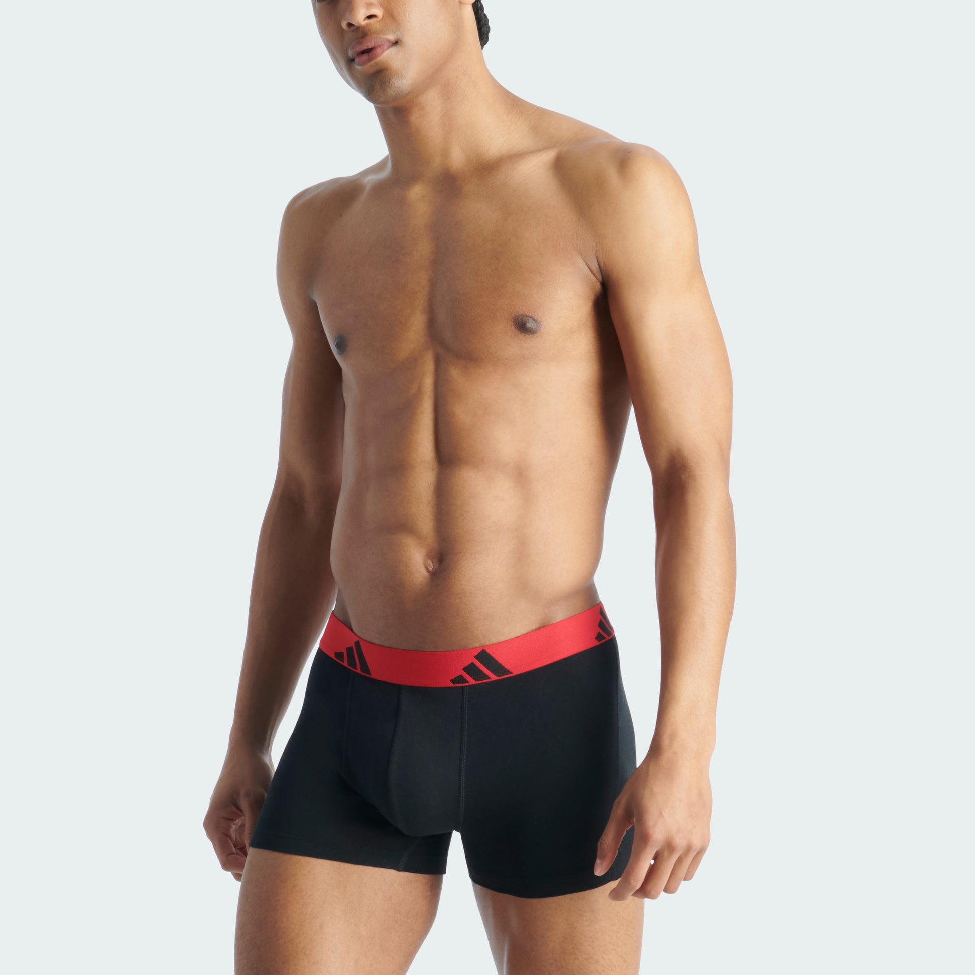 Black/Pure Ruby Waistband/Grey Strata Logo