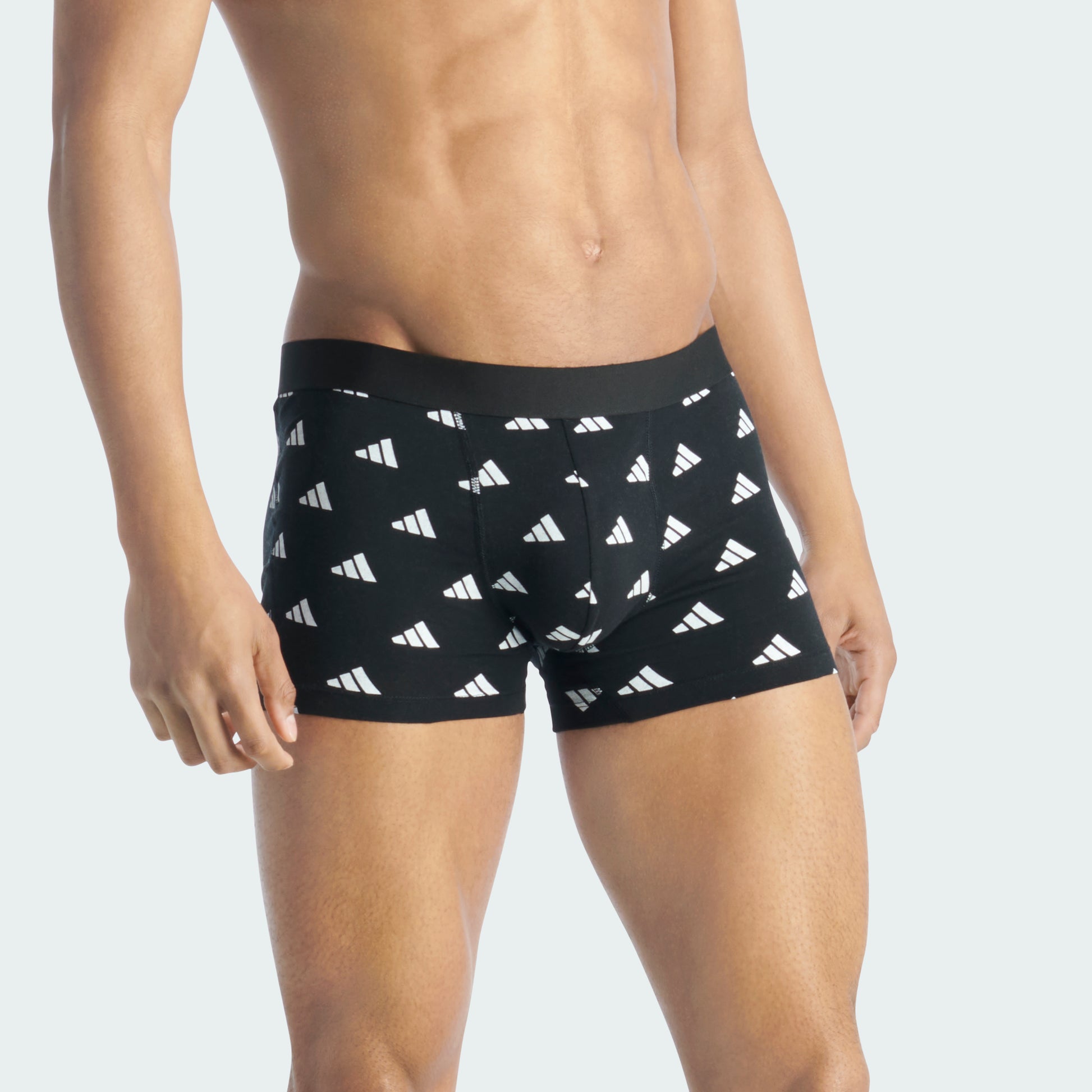 Surf The Web/Black/Black Bos Print