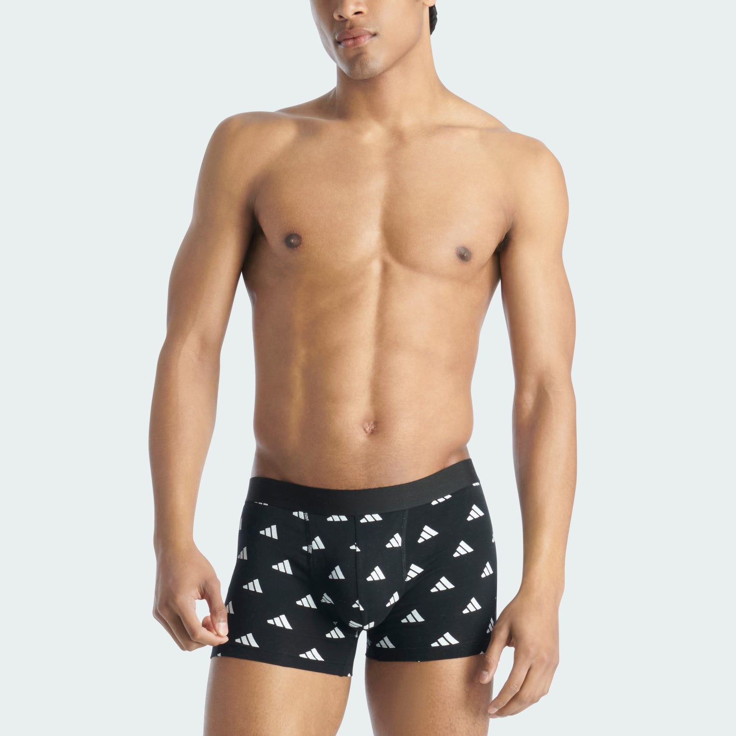 Surf The Web/Black/Black Bos Print