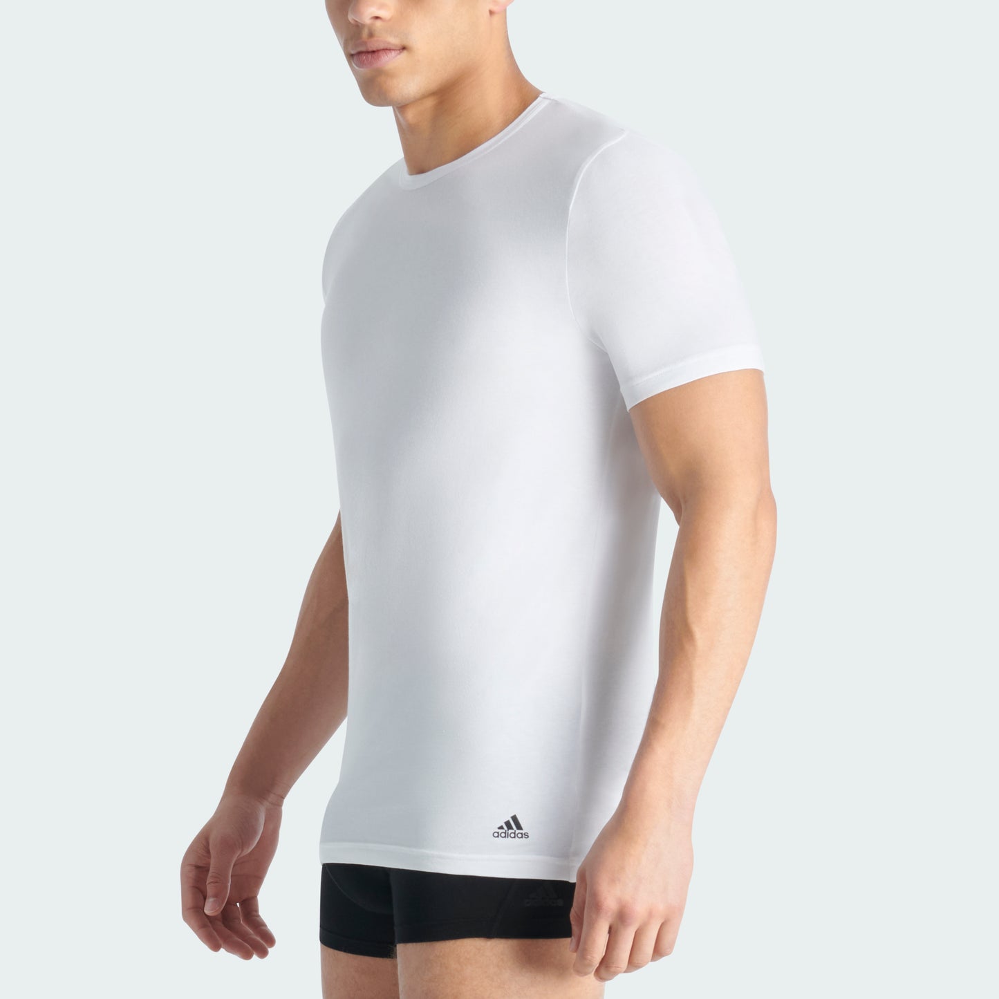 White/White
