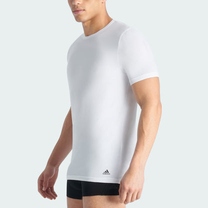 White/White