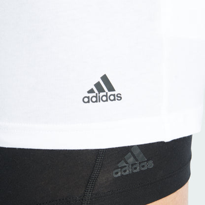 White/White