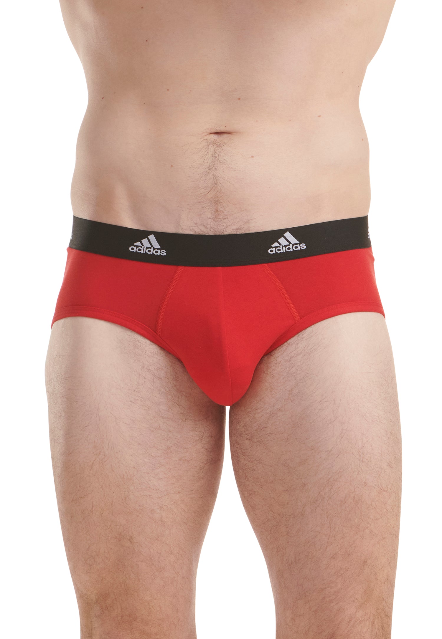 Vivid Red/Black/BOS Print