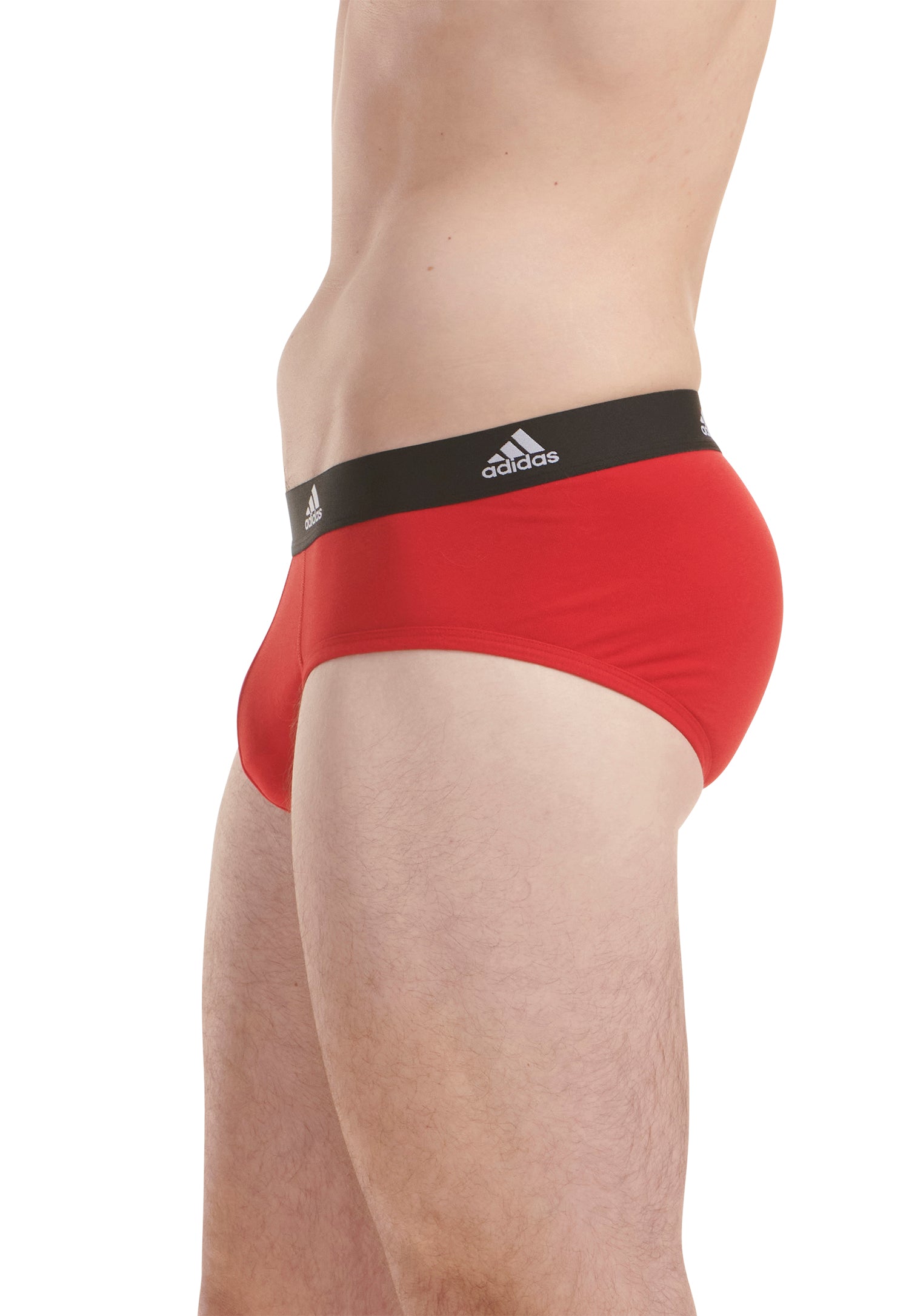 Vivid Red/Black/BOS Print