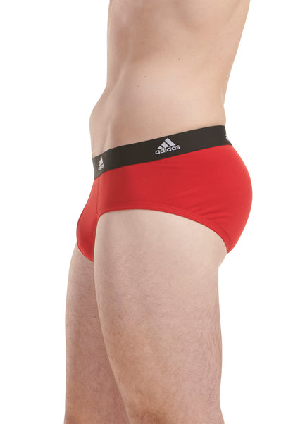 Vivid Red/Black/BOS Print