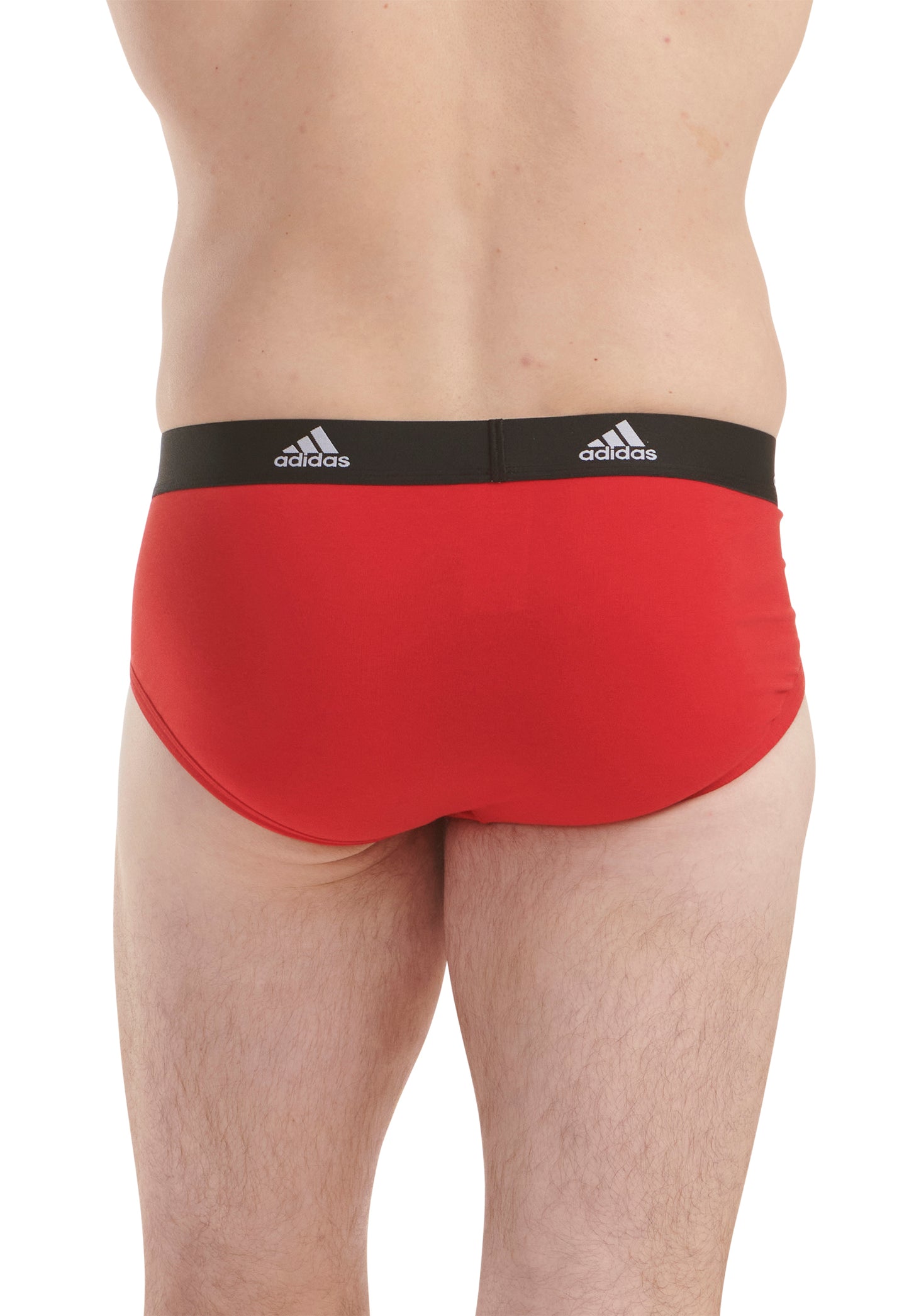 Vivid Red/Black/BOS Print