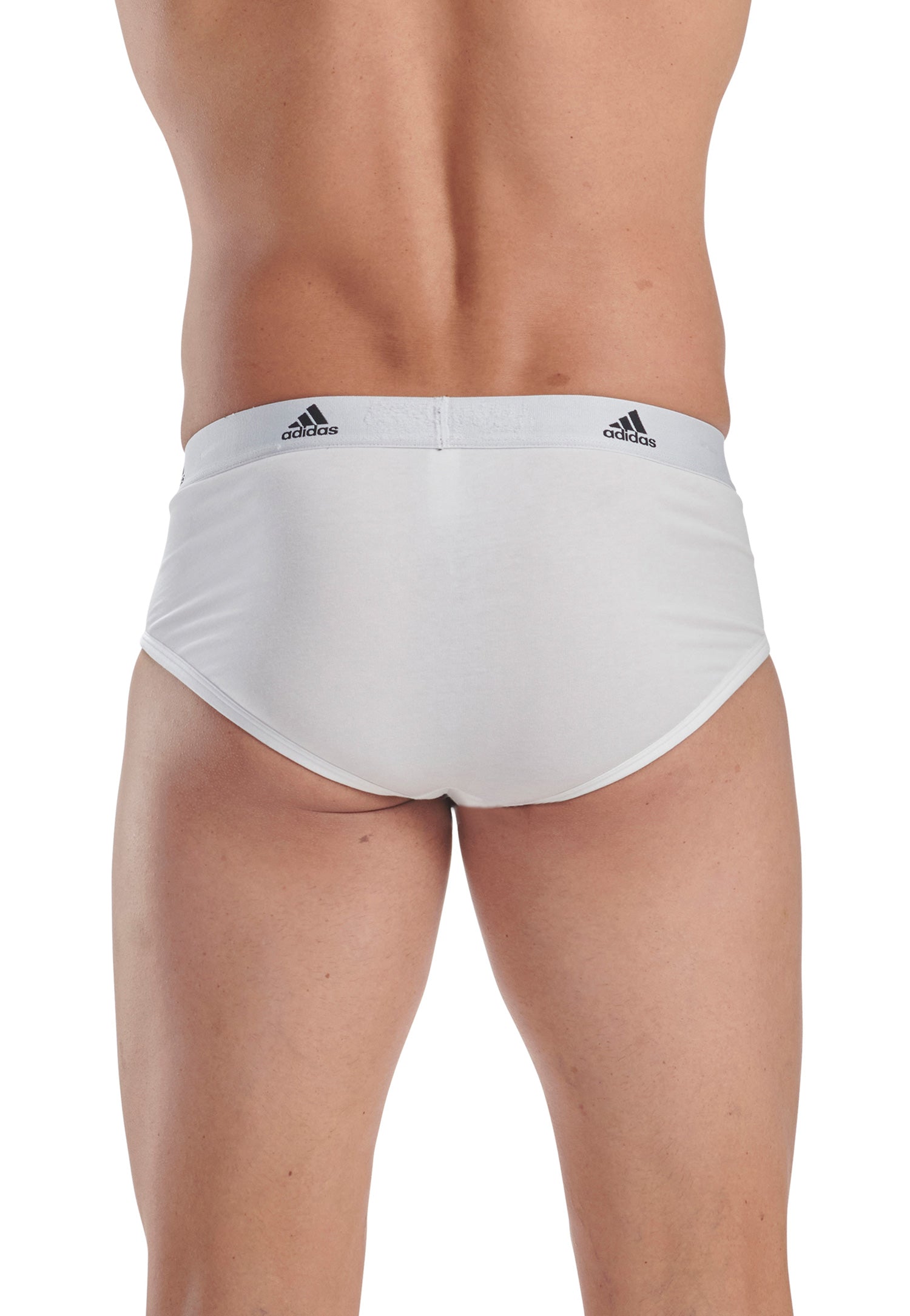 White/White/White