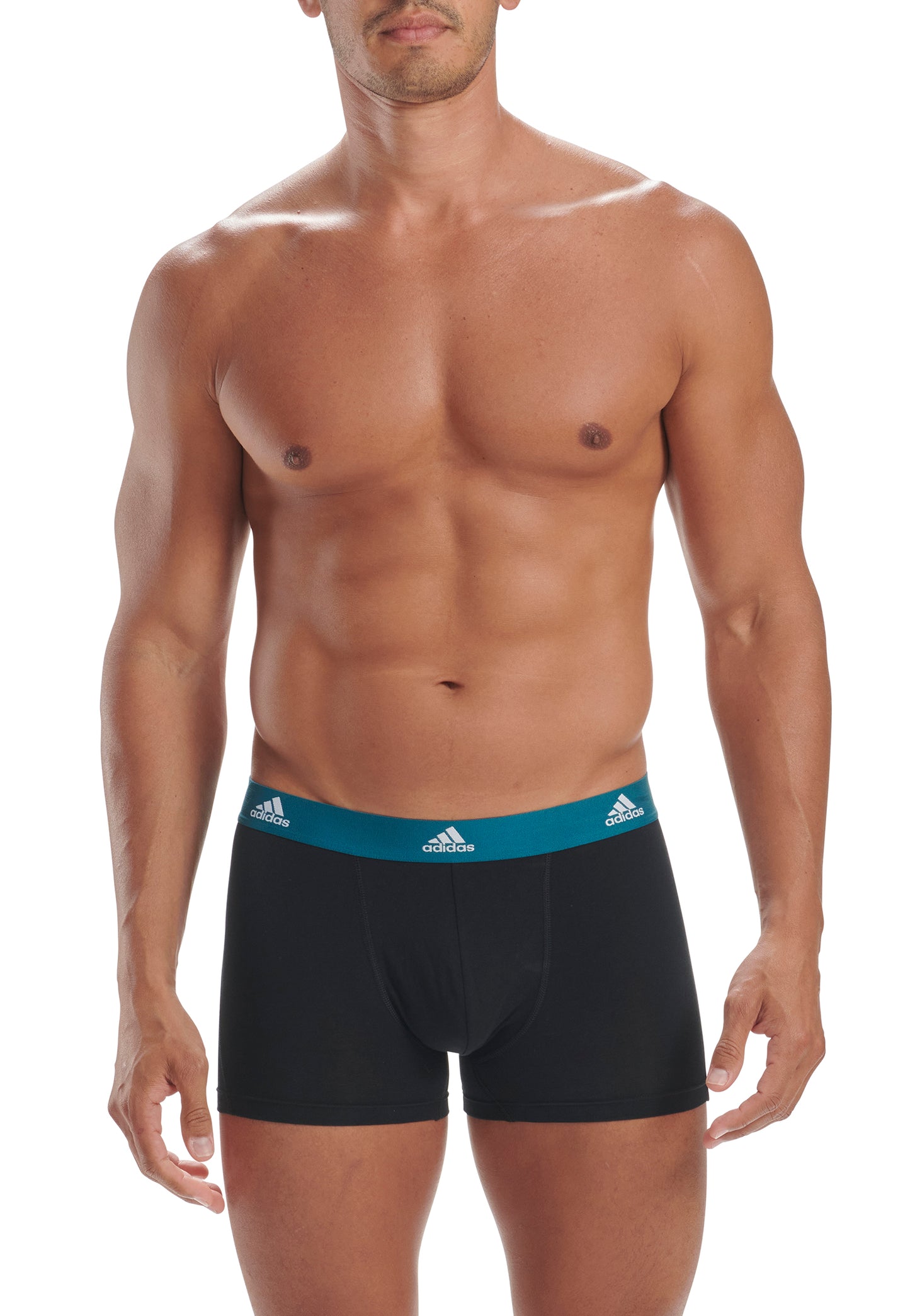 Black/Legacy Teal/Pulse Lime/Royal Blue Waistband