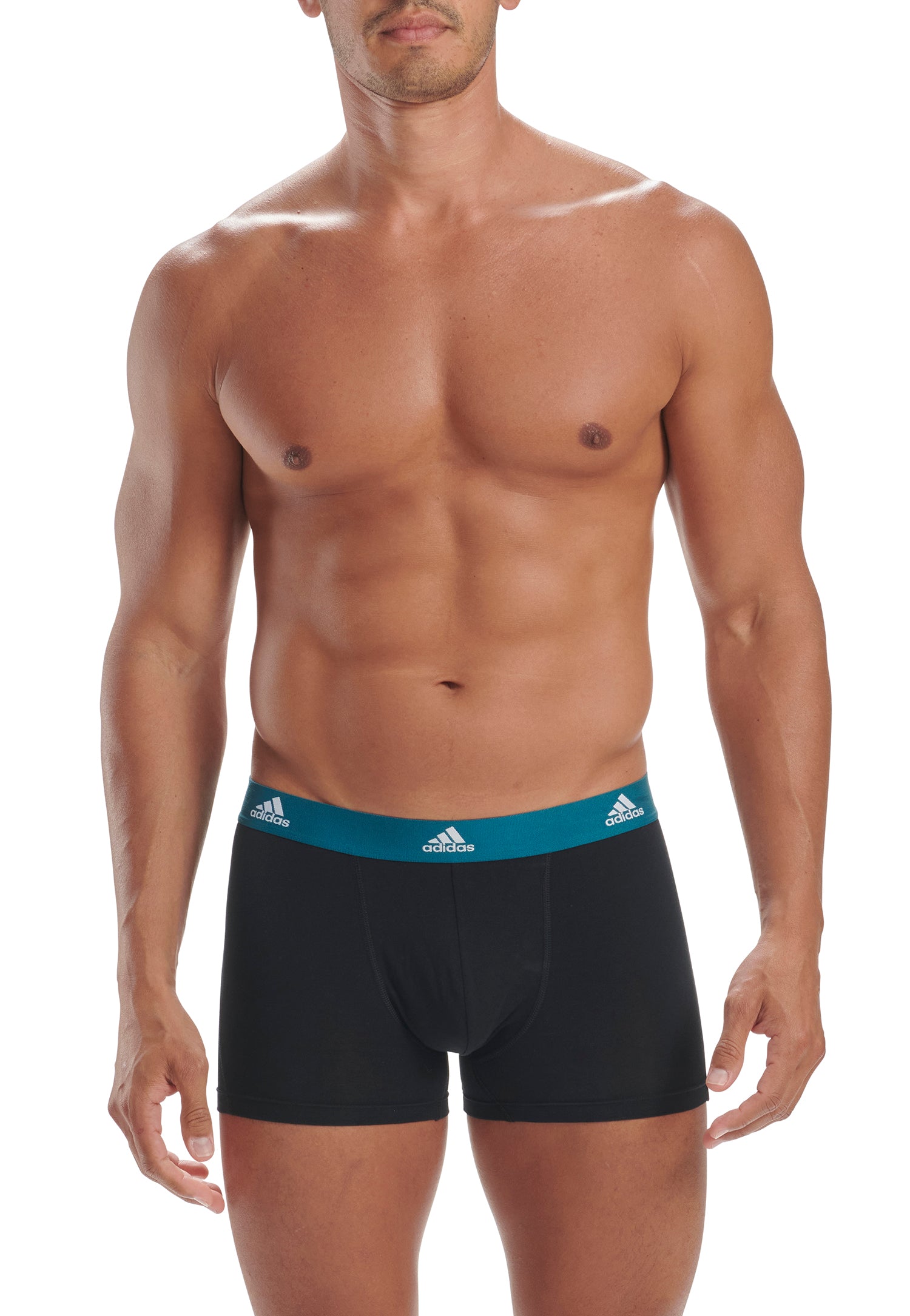 Black/Legacy Teal/Pulse Lime/Royal Blue Waistband