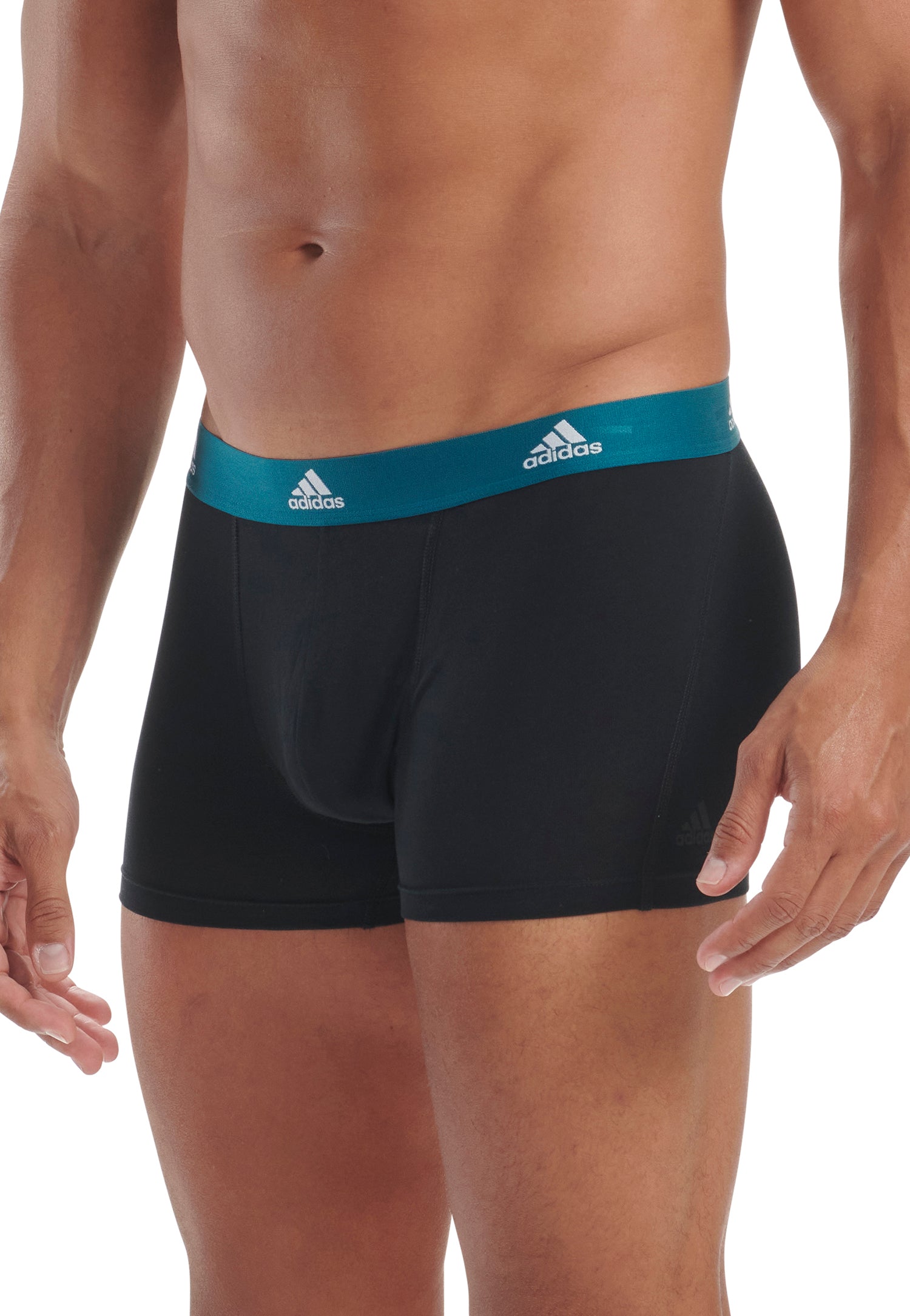 Black/Legacy Teal/Pulse Lime/Royal Blue Waistband