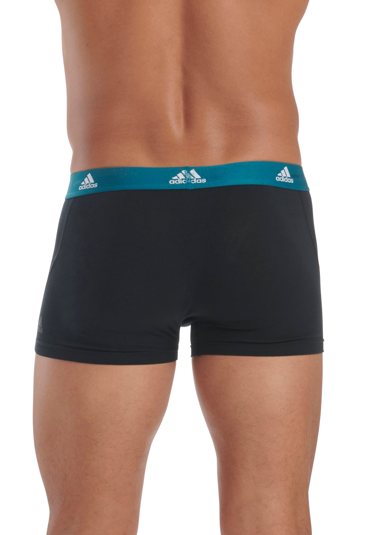 Black/Legacy Teal/Pulse Lime/Royal Blue Waistband