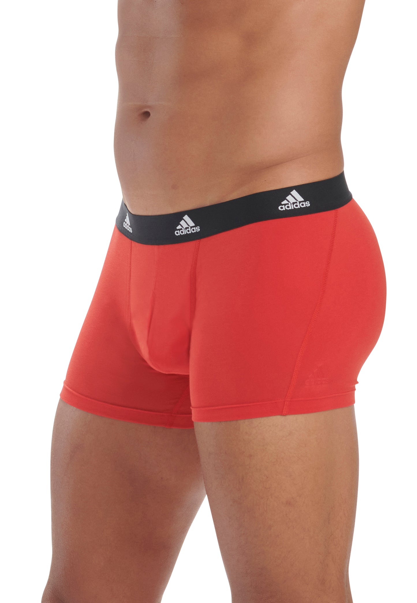 Vivid Red/Black/BOS Print