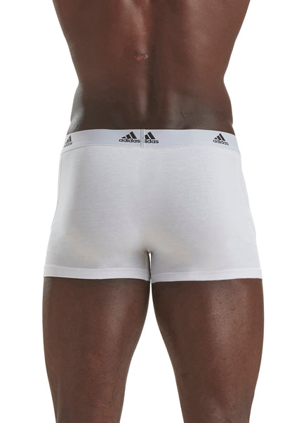 White/White/White